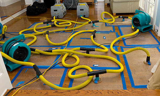 Professional Emergency Water Removal technician working in Conway, NH